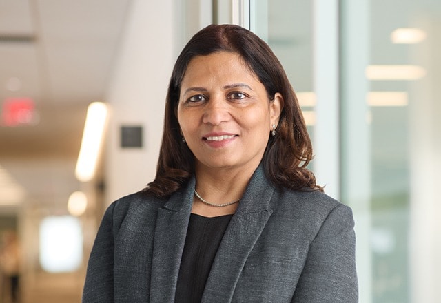 Hetal Desai, Vice President, Information Technology 