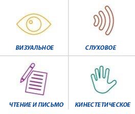 четыре стиля обучения