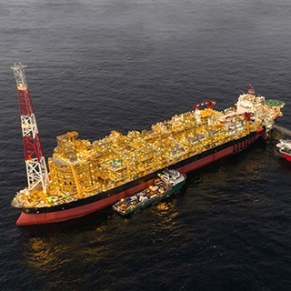 世伟洛克 FPSO 项目