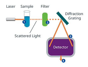 Visualisation de l’analyse d’échantillons par un analyseur Raman