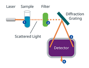 A visualization of Raman sample analysis