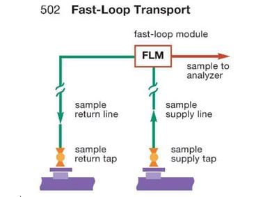 fast loop module in a fast loop transport system