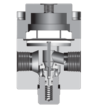 Cross section of a dome-loaded regulator