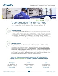 Swagelok Case Study_The Cost of Air
