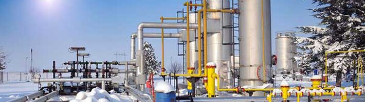 Swagelok Winterization Services