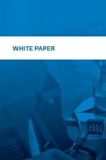 whitepaper risk