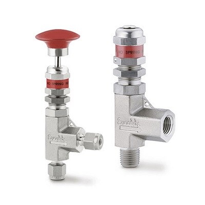 Swagelok Relief Valve