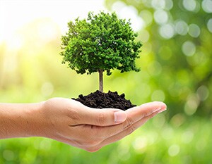 Nachhaltigkeit bei Swagelok Hamburg