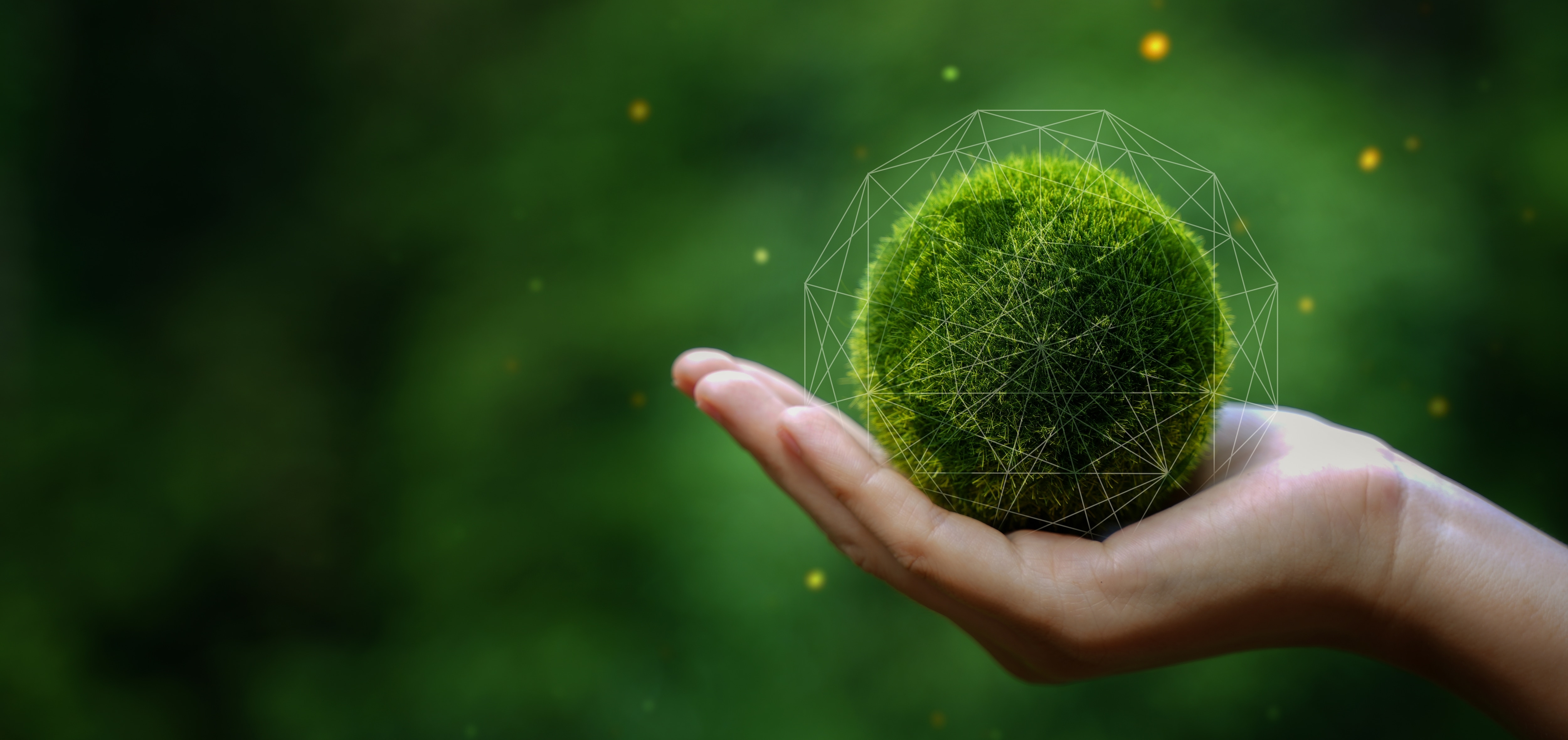 Hand holding green earth