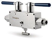 single double block and bleed valves