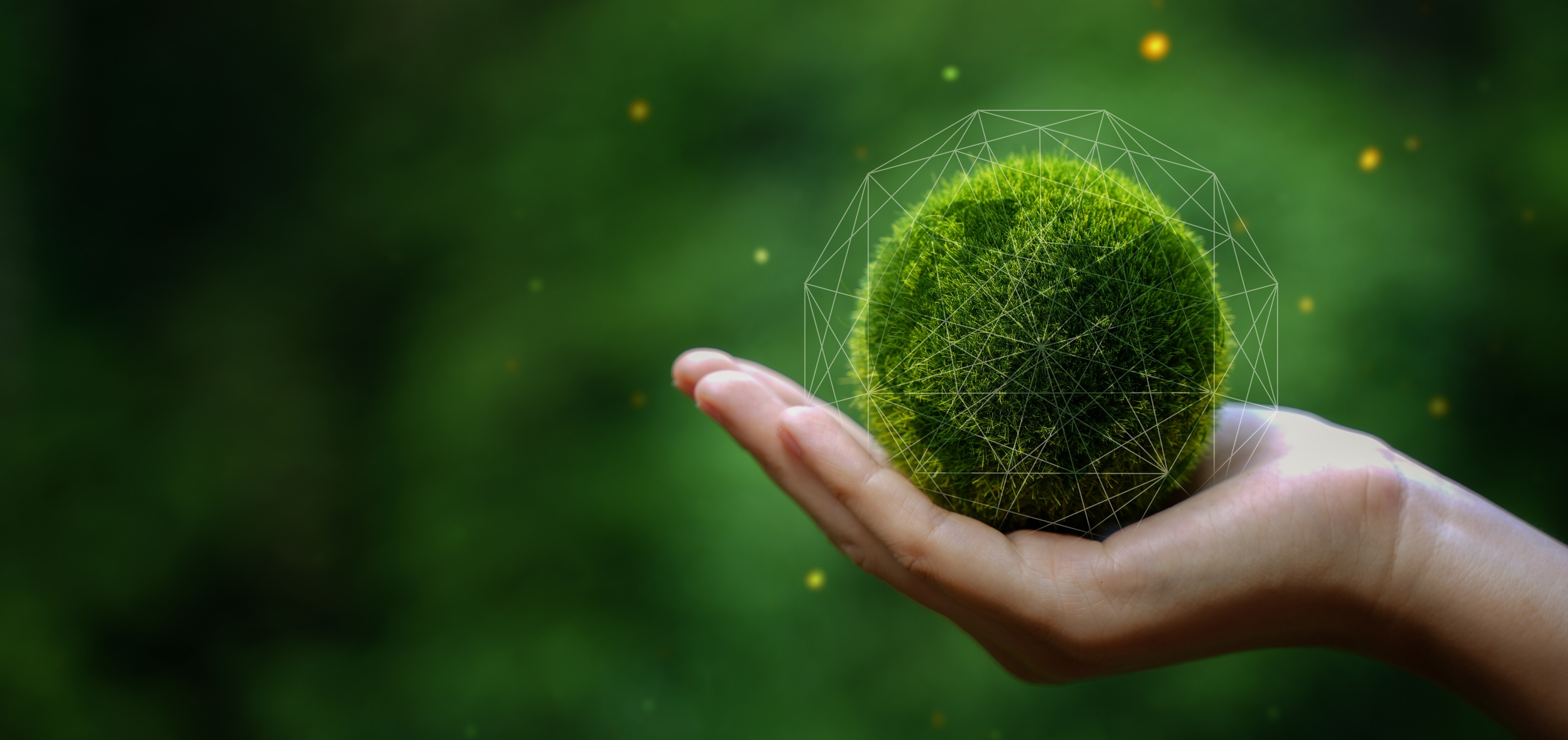 Hand holding green earth