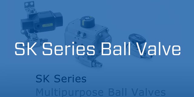 SK series ball valve