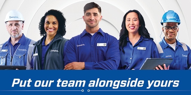 Put our team alongside yours