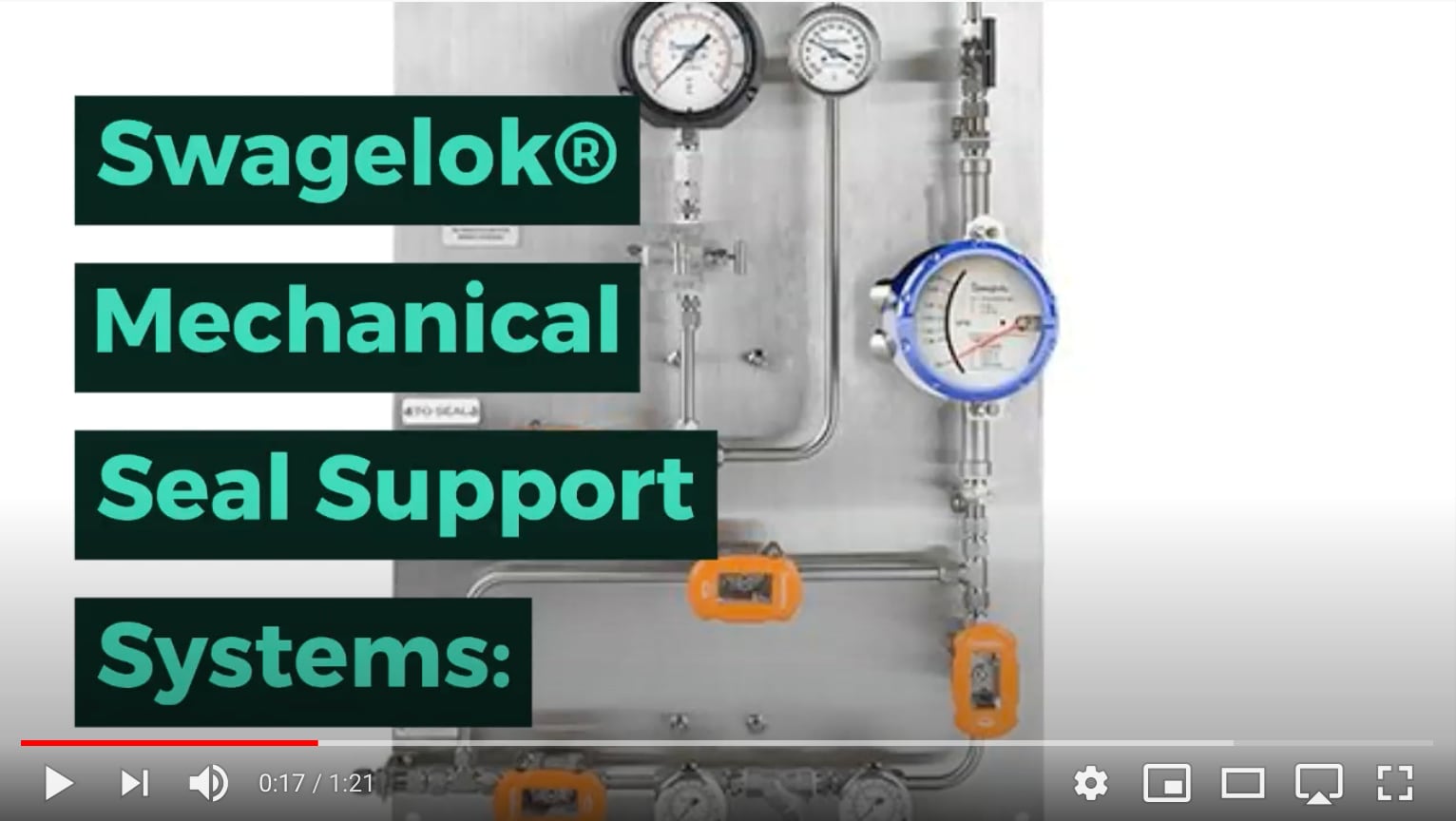 Mechanical Seal Support Systems video