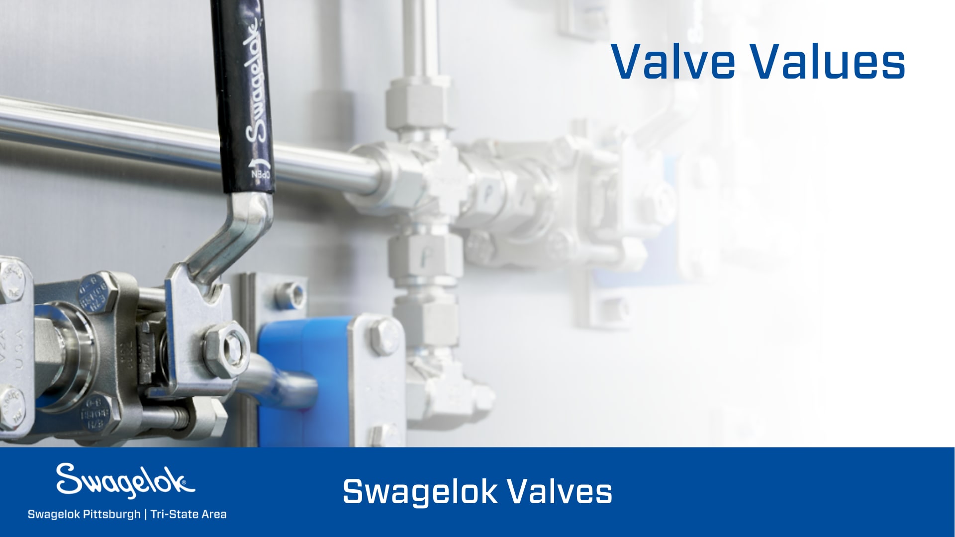 Swagelok Ball Valves