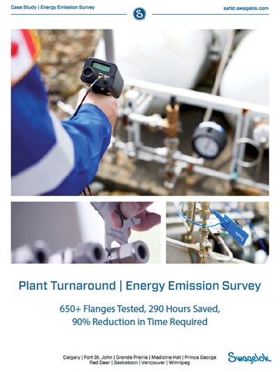 Case Study EES - Plant Turnaround image