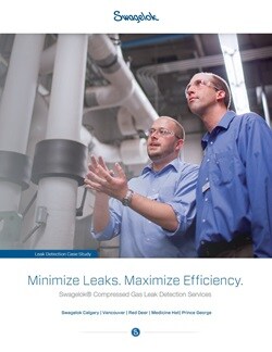 Compressed Gas Leak Detection | Evaluation & Advisory Services ...