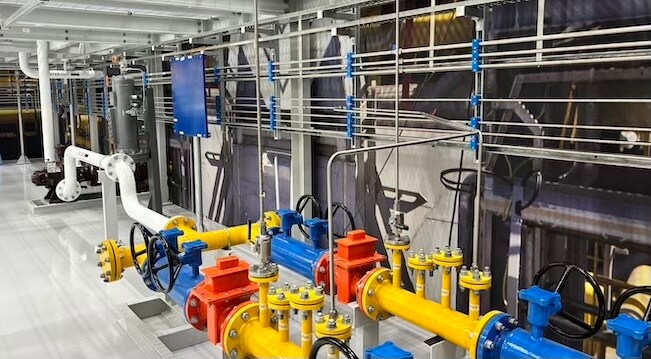Interior - Yellow Box Plant
