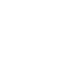 Globe icon
