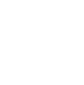 Checkmark icon