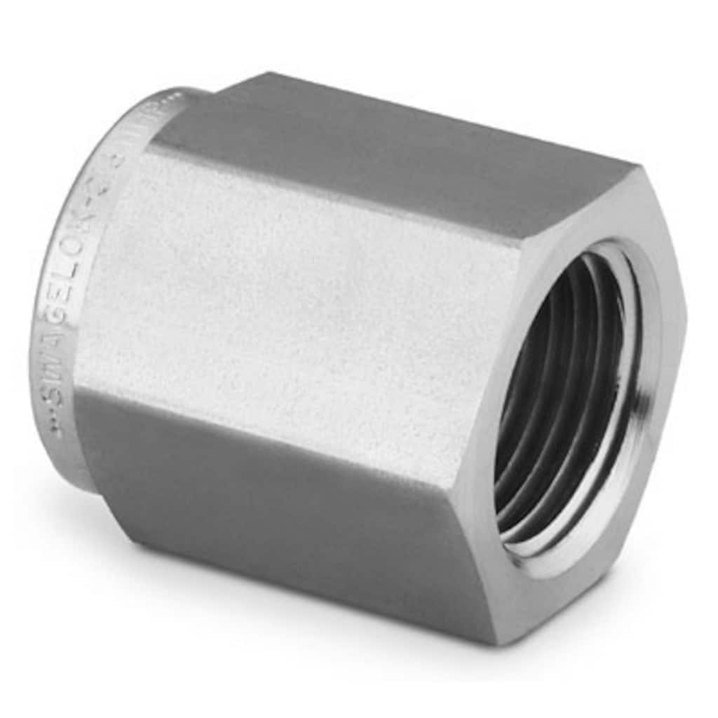 Stainless Steel Pipe Fitting, Pipe Cap, 1/2 in. Female NPT