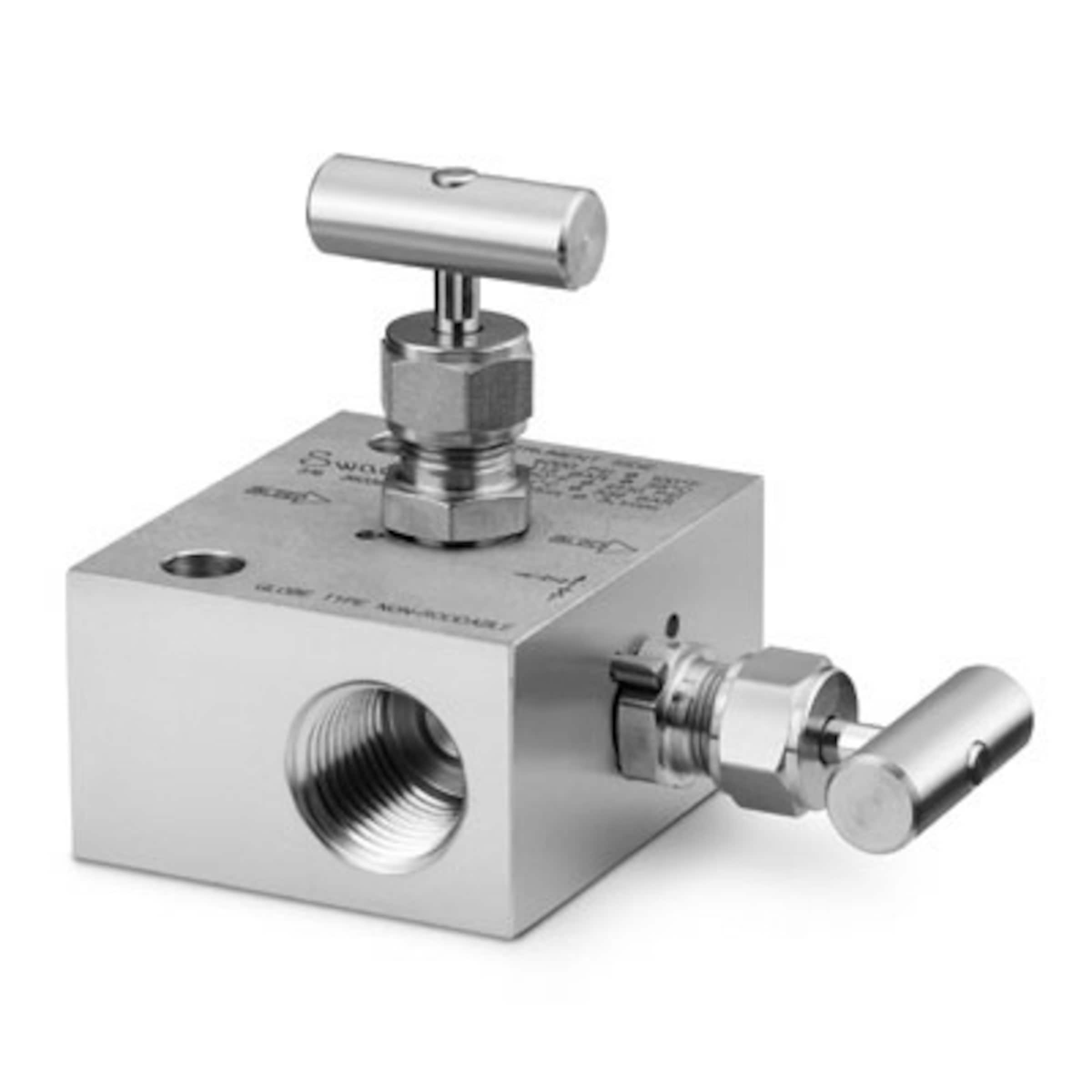 Stainless Steel 2Valve Instrument Manifold, 1/2 in. Female NPT, Ball